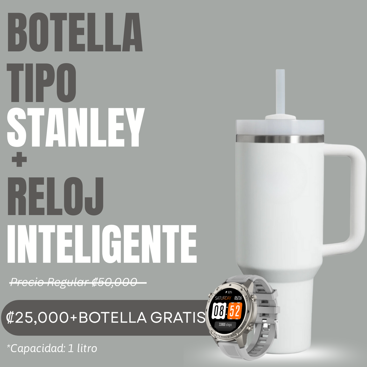 Smartwatch Fenix GPS +REGALIA